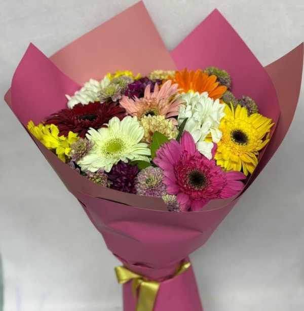 WhatsApp Image 2026-02-25 at 09.40.01